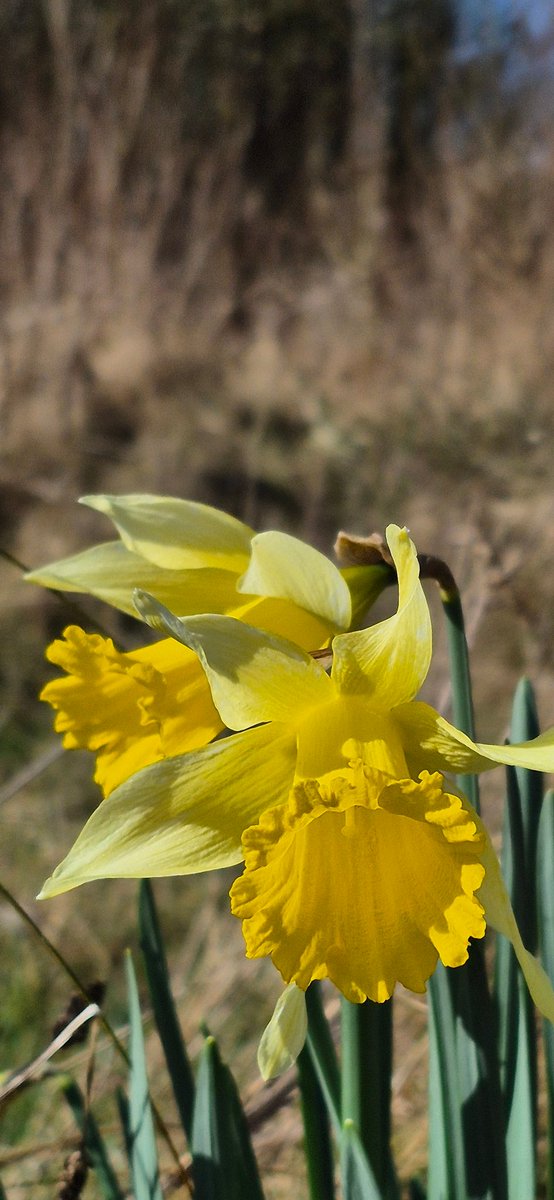 Celebrating Spring Equinox at North Wirral Coastal Park.