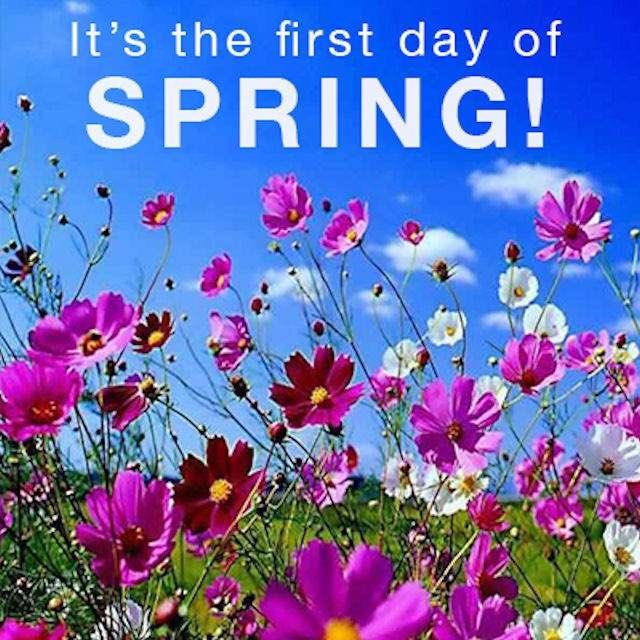 alistwebseo1's tweet image. Happy 1st day of spring! We love this season! 
☺️🌺🌷
#springishere