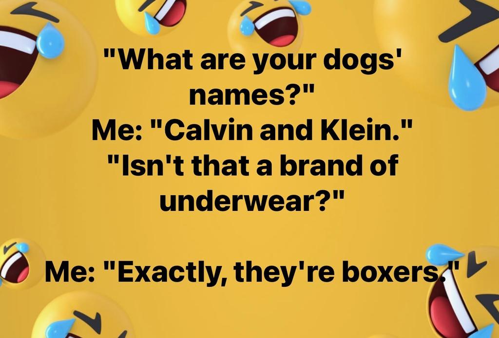 tkboxer's tweet image. Thoughtful owner connects the dots. Brilliant.