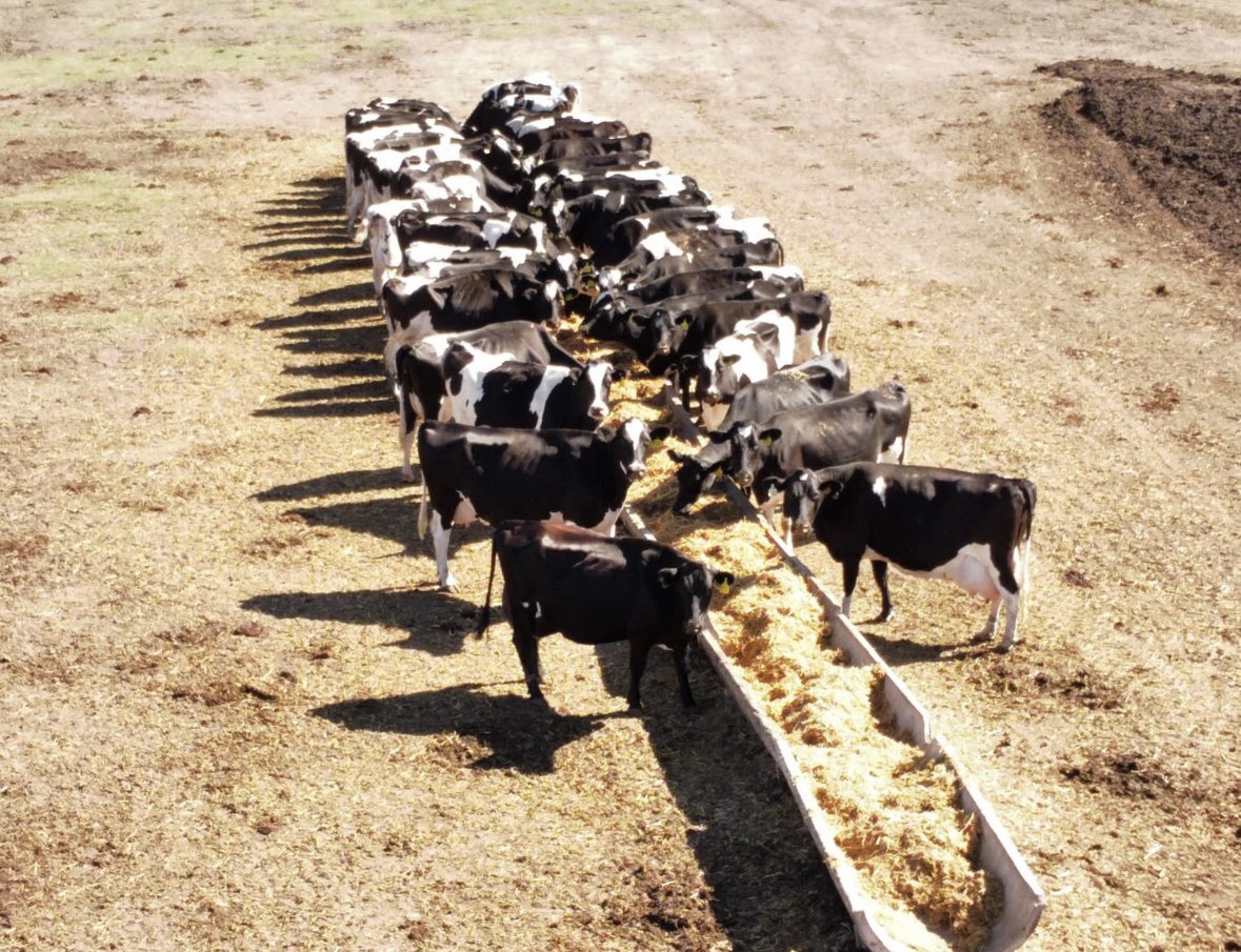 Luisina Delgado tweet media