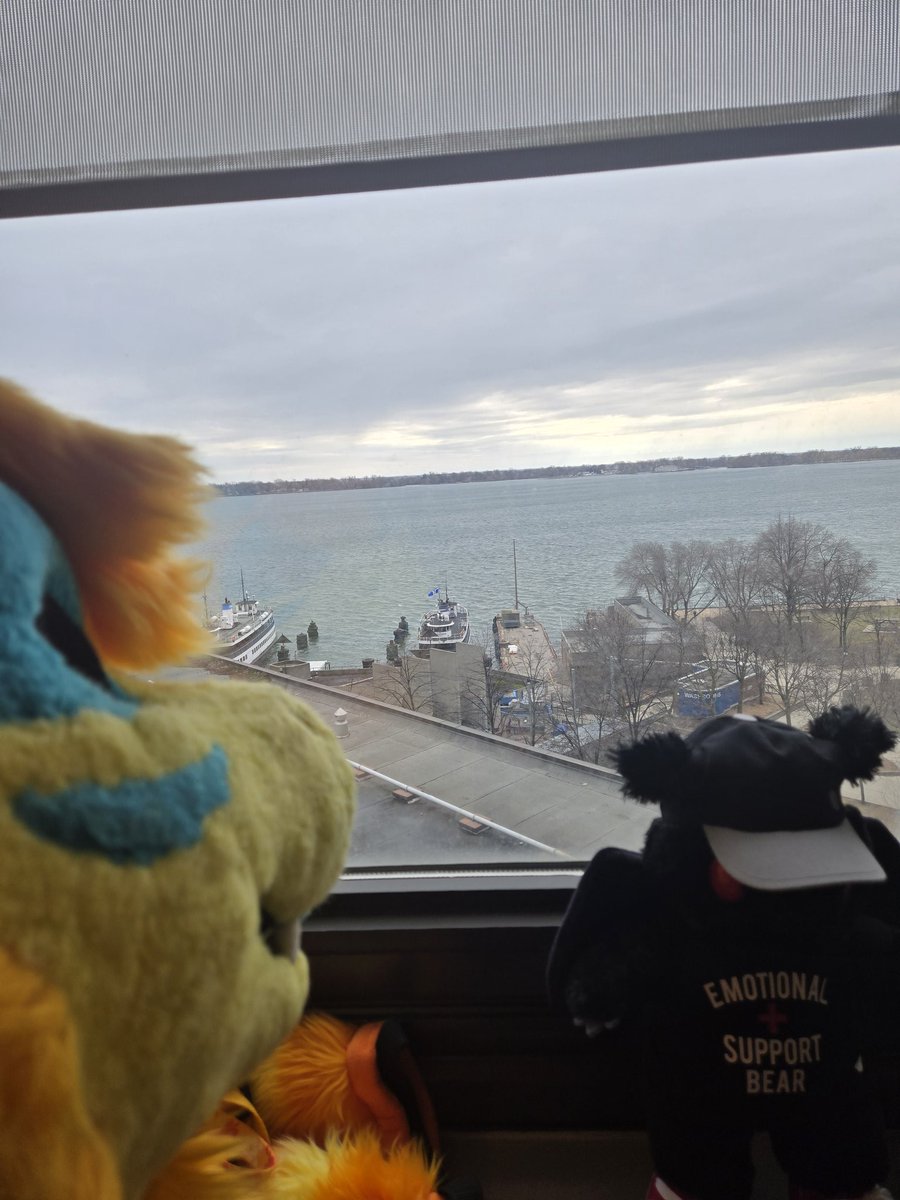 ThatOrangeNardo's tweet photo. FE 2025 BEGINS!!!!

#fursuit #fursuiter #furry #Furnal2025 https://t.co/pD8bskF1aE