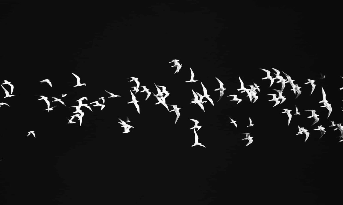 SPKlarinet's tweet image. Planning a SharePoint migration? Success starts with preparation. Clean up your data, define goals, and choose the right tools. #SharePointMigration #ElevateYourWorkplace