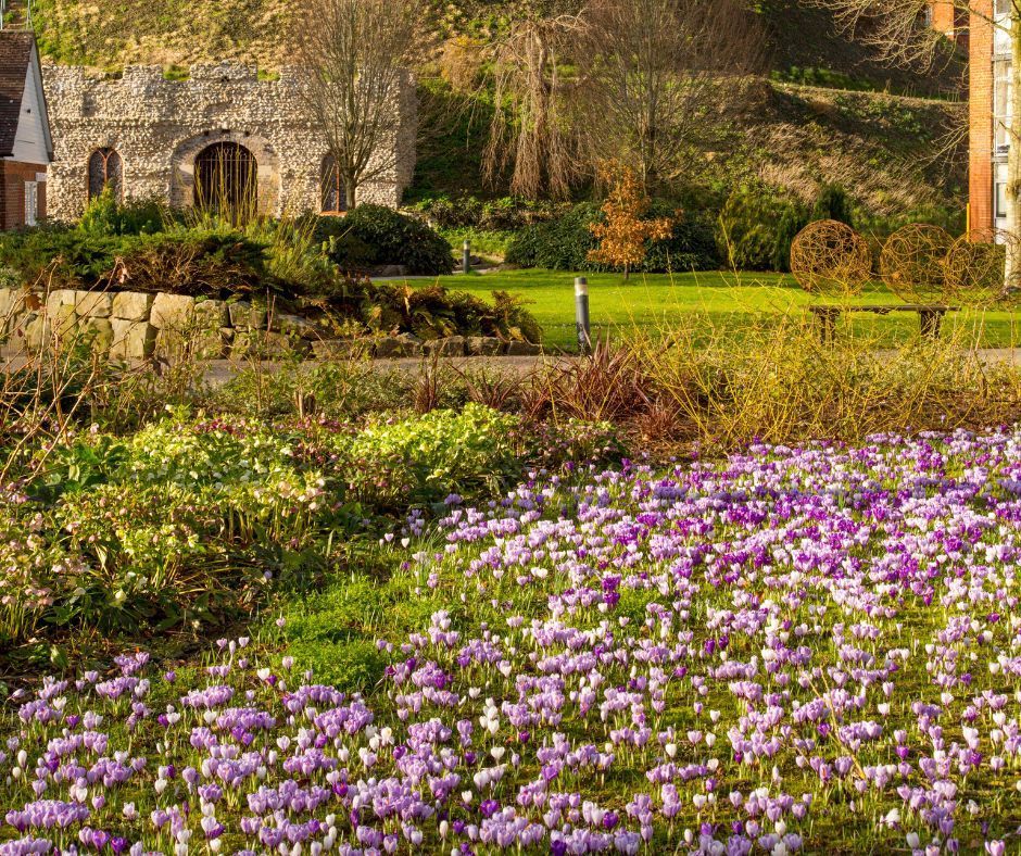 A glorious day to mark the spring equinox 🌸