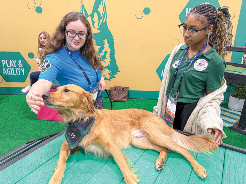 Learn from <a href="/VetPracticeNews/">Veterinary Practice News</a> how you can make your veterinary conference experience last—leave with knowledge, connections, and inspiration that go beyond the event: hubs.la/Q03bQ0fX0