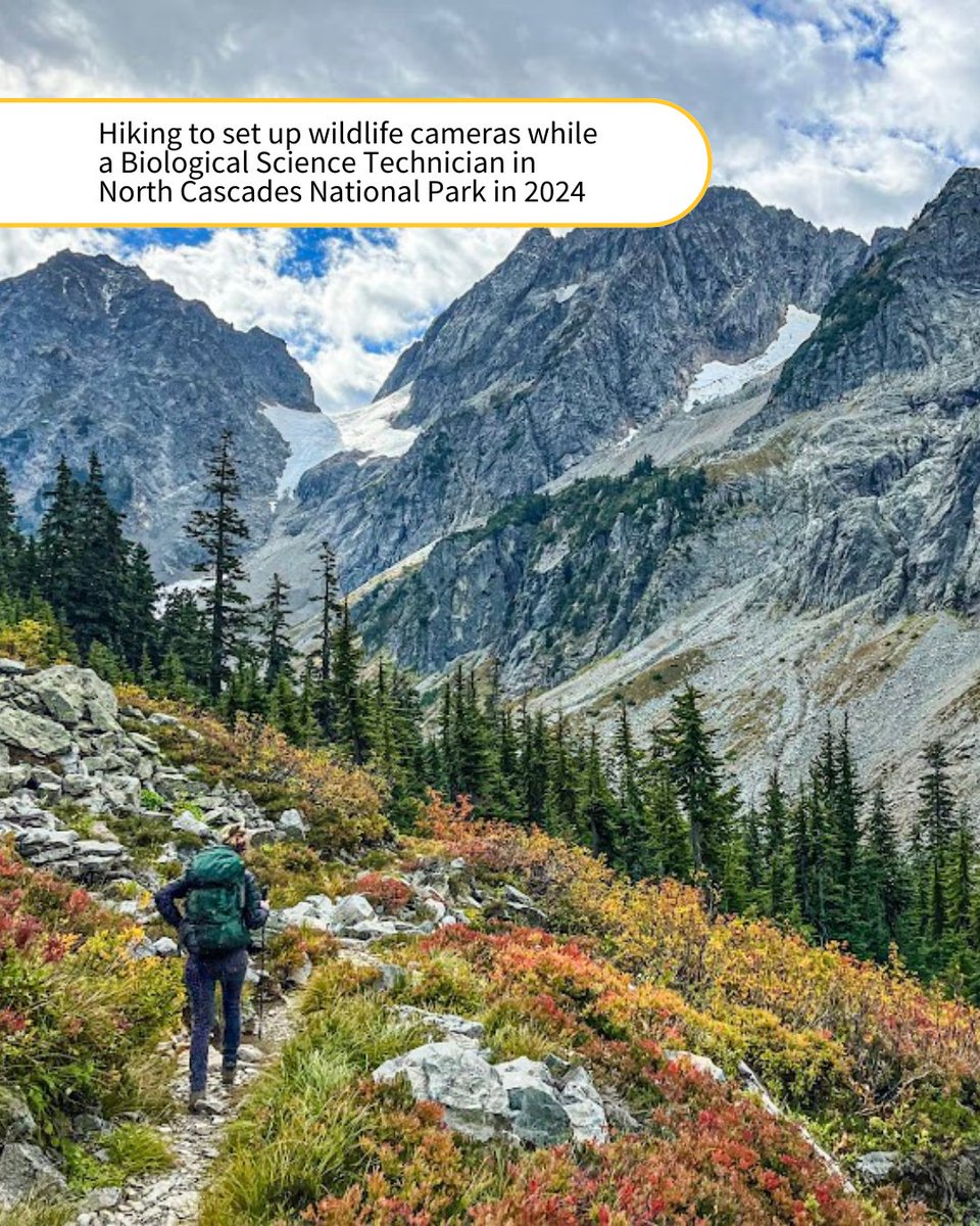 SUNY ESF Alumni tweet media