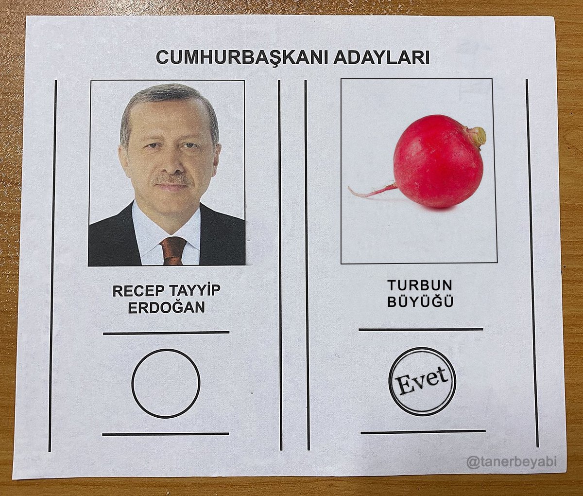 #hükümetistifa