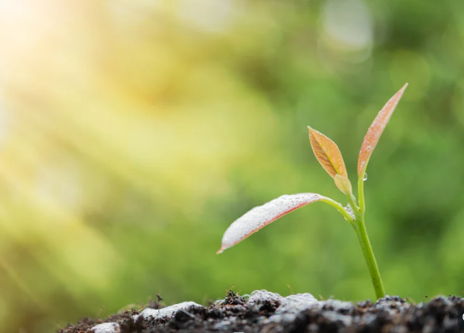 CatholicCommCLE's tweet image. Happy first day of Spring! Mar 20. Marvel in awe at the new life that God put in motion at the beginning of time. As stewards of creation we must protect all life as sacred. We value, honor and protect the entire earth for it is GOOD.