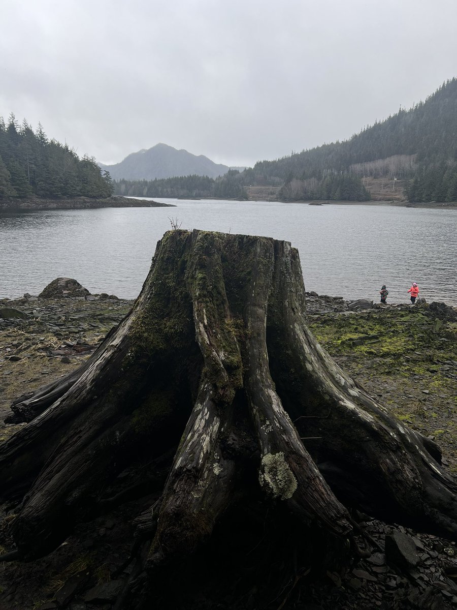 bittersweet home affairs