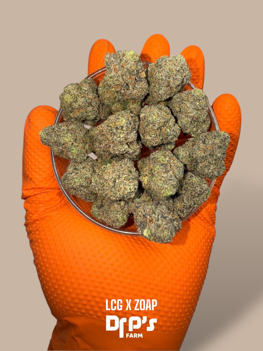 ReturnOfTheDr's tweet image. LCG 🍋🍒 X ZOAP 🧼

INDOOR

#LCG #ZOAP
#WhatTheDrOrdered 👨🏽‍⚕️