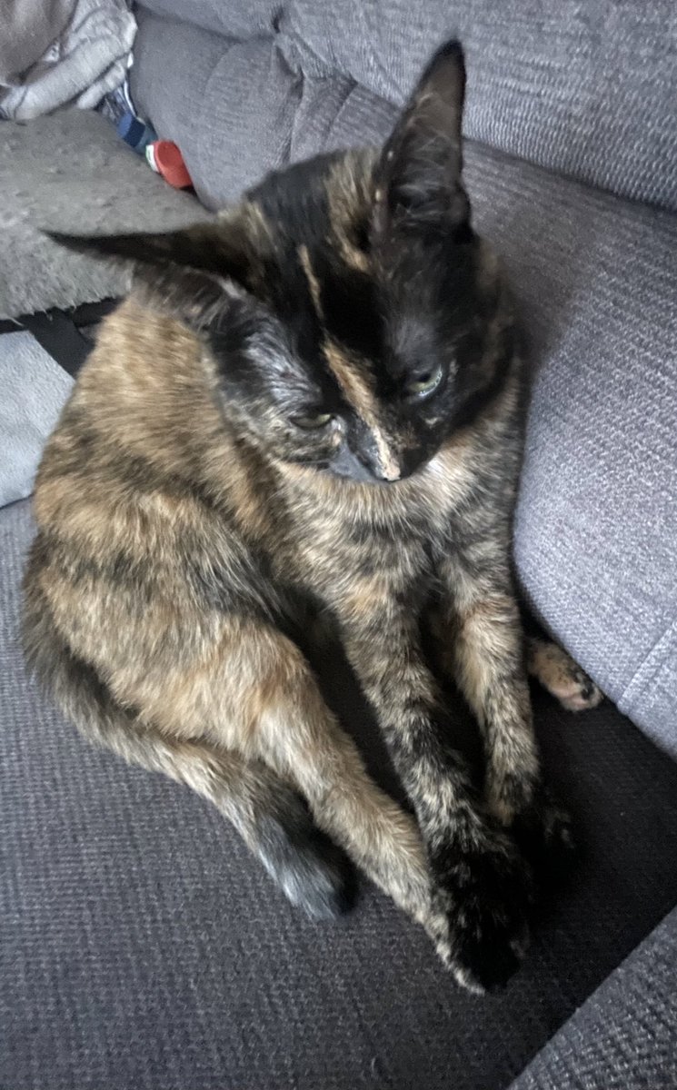 Back4Soup's tweet image. 