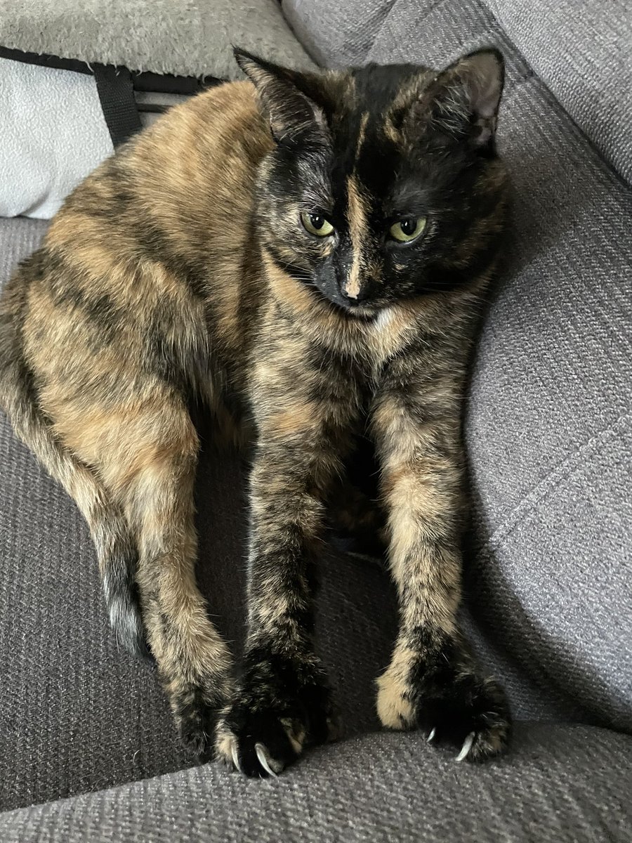 Back4Soup's tweet image. 