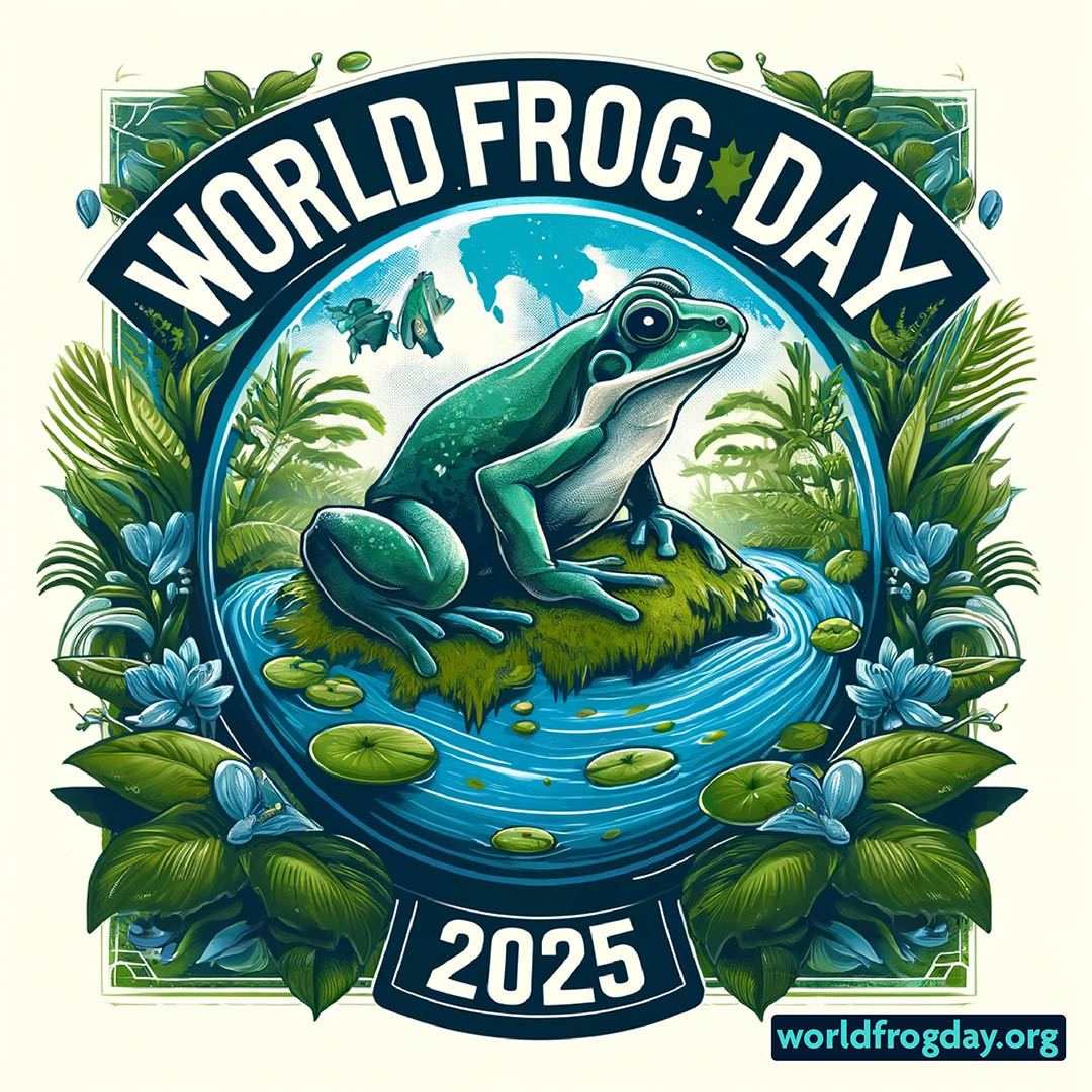 worldfrogday tweet media