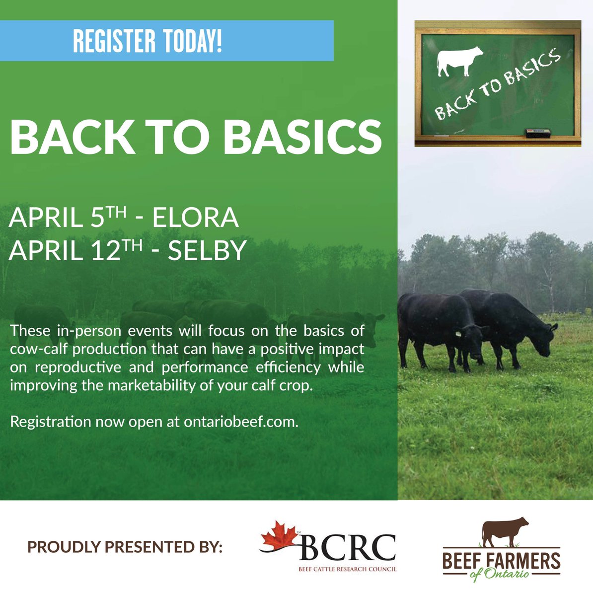 Be sure to secure your spot, register now! 

You don’t want to miss this opportunity to brush up on the basics of beef cow-calf production that have an impact on the marketability of your calves.

💻 Virtual option available on April 5. Event details here ontariobeef.com/farmer-hub/eve…