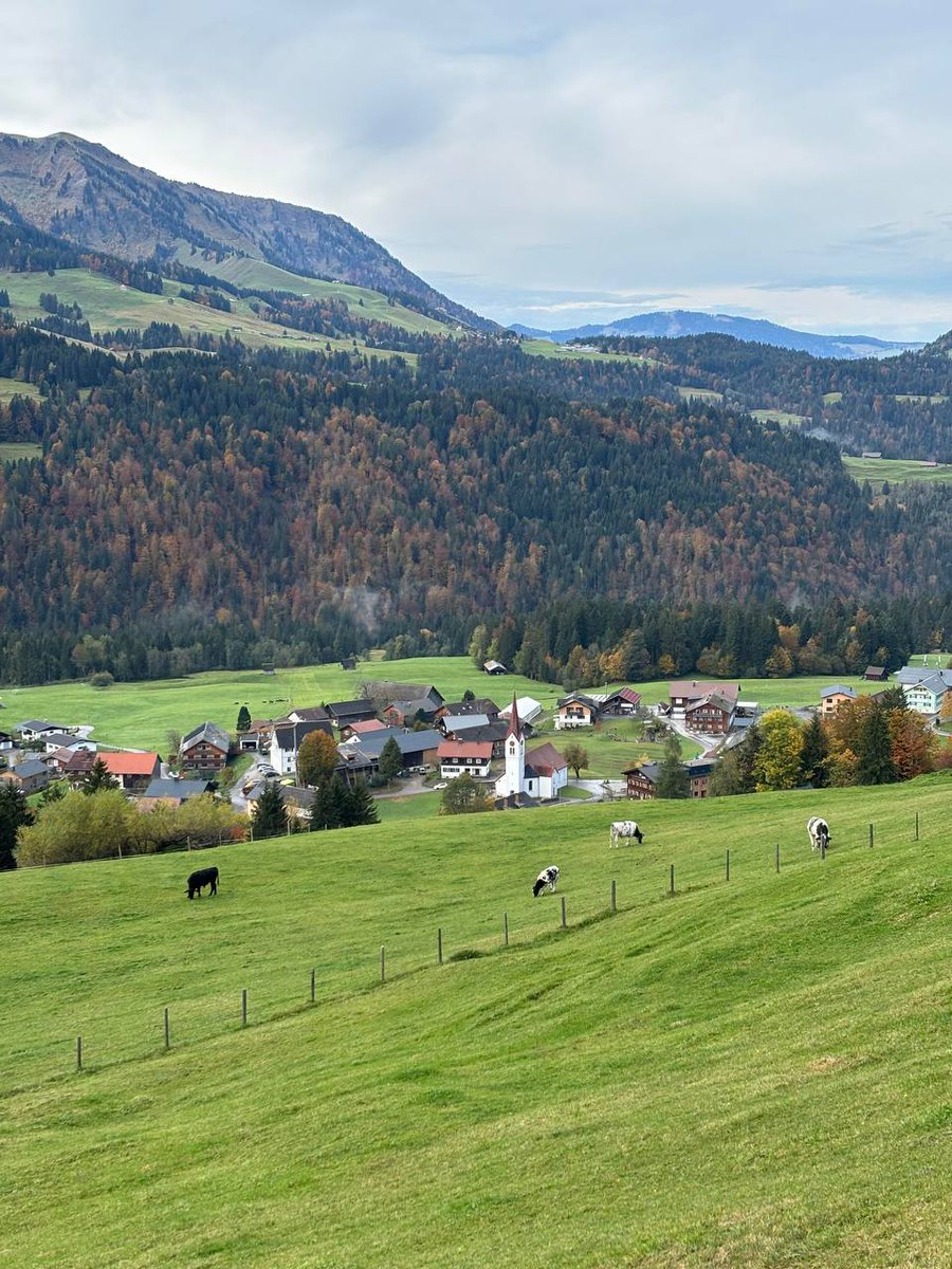 lalithefucker's tweet image. What kind of life is considered perfect?