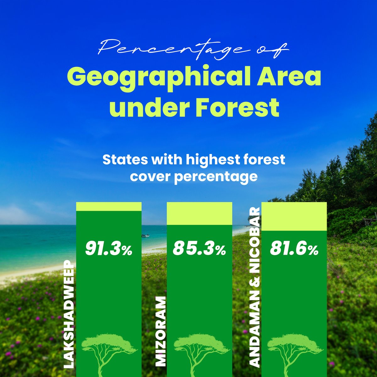 latlong_ai's tweet image. 🌳 India’s Forest Cover: Growth vs Loss!

In 2023, India has 25.17% of its area covered by forests, but tree cover loss is a growing challenge. Check out which states are making progress and which are losing out. 👇

#ForestCover #LatlongAI #GeospatialData #Sustainability