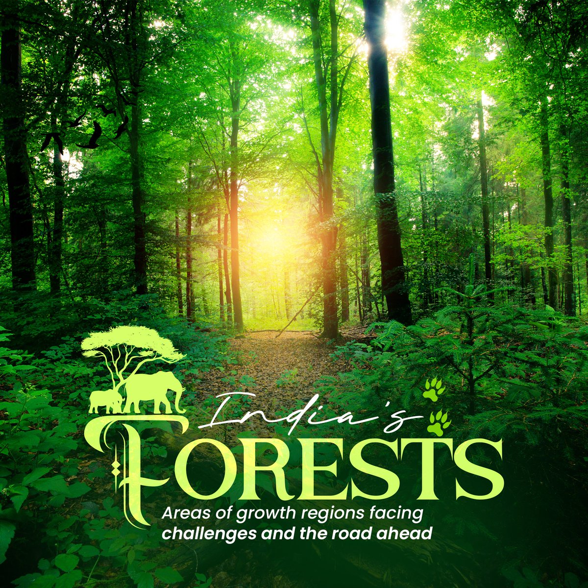 latlong_ai's tweet image. 🌳 India’s Forest Cover: Growth vs Loss!

In 2023, India has 25.17% of its area covered by forests, but tree cover loss is a growing challenge. Check out which states are making progress and which are losing out. 👇

#ForestCover #LatlongAI #GeospatialData #Sustainability