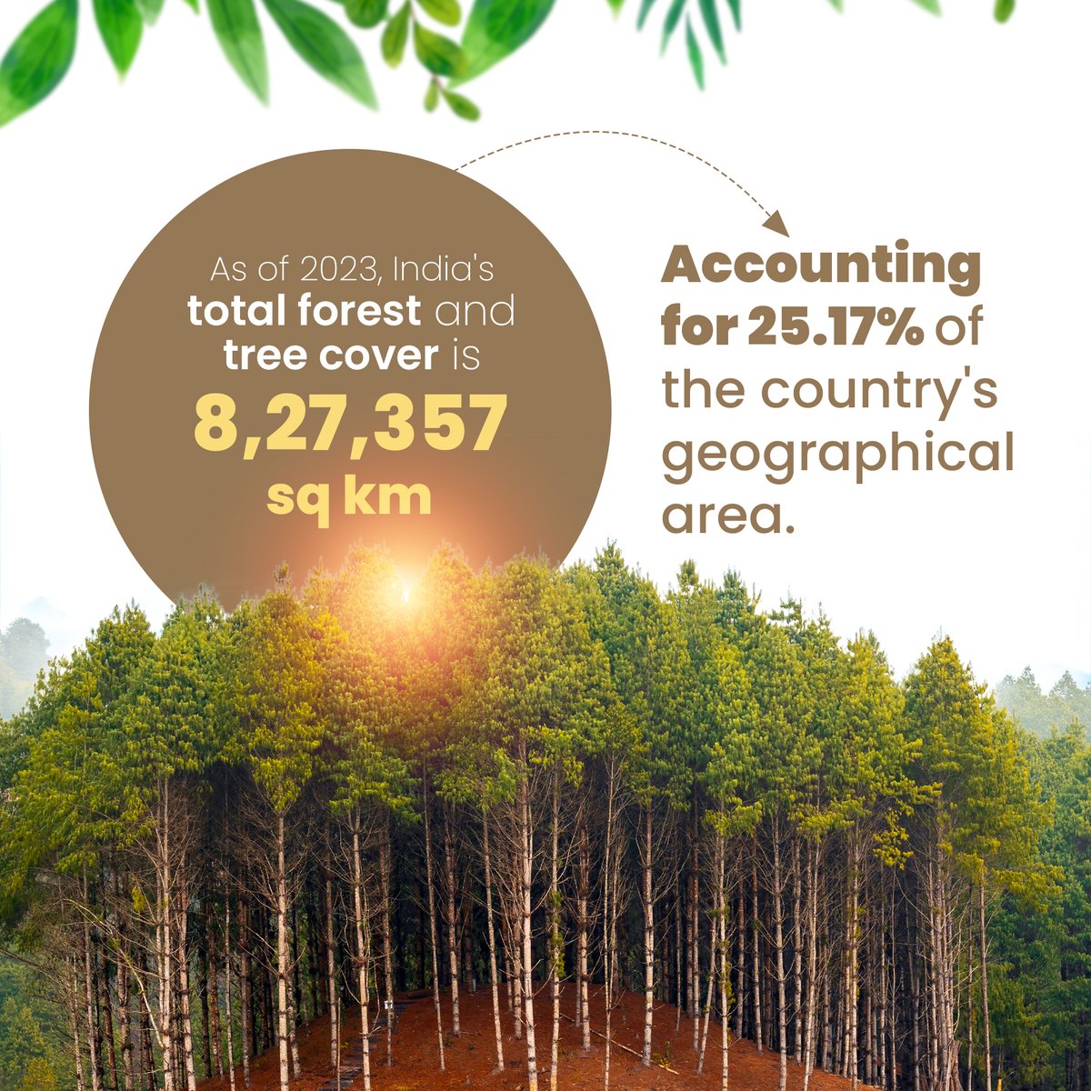 latlong_ai's tweet image. 🌳 India’s Forest Cover: Growth vs Loss!

In 2023, India has 25.17% of its area covered by forests, but tree cover loss is a growing challenge. Check out which states are making progress and which are losing out. 👇

#ForestCover #LatlongAI #GeospatialData #Sustainability
