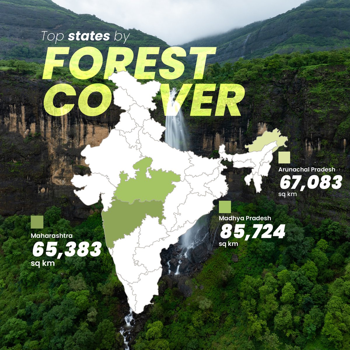 latlong_ai's tweet image. 🌳 India’s Forest Cover: Growth vs Loss!

In 2023, India has 25.17% of its area covered by forests, but tree cover loss is a growing challenge. Check out which states are making progress and which are losing out. 👇

#ForestCover #LatlongAI #GeospatialData #Sustainability
