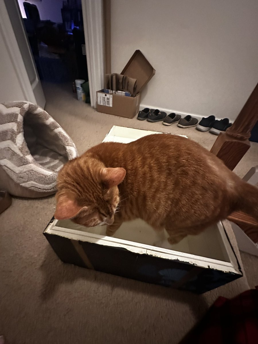 KevinButtersoAj's tweet photo. I sat in @TheyAnnaMae treasure chest https://t.co/m6MXY8vek3