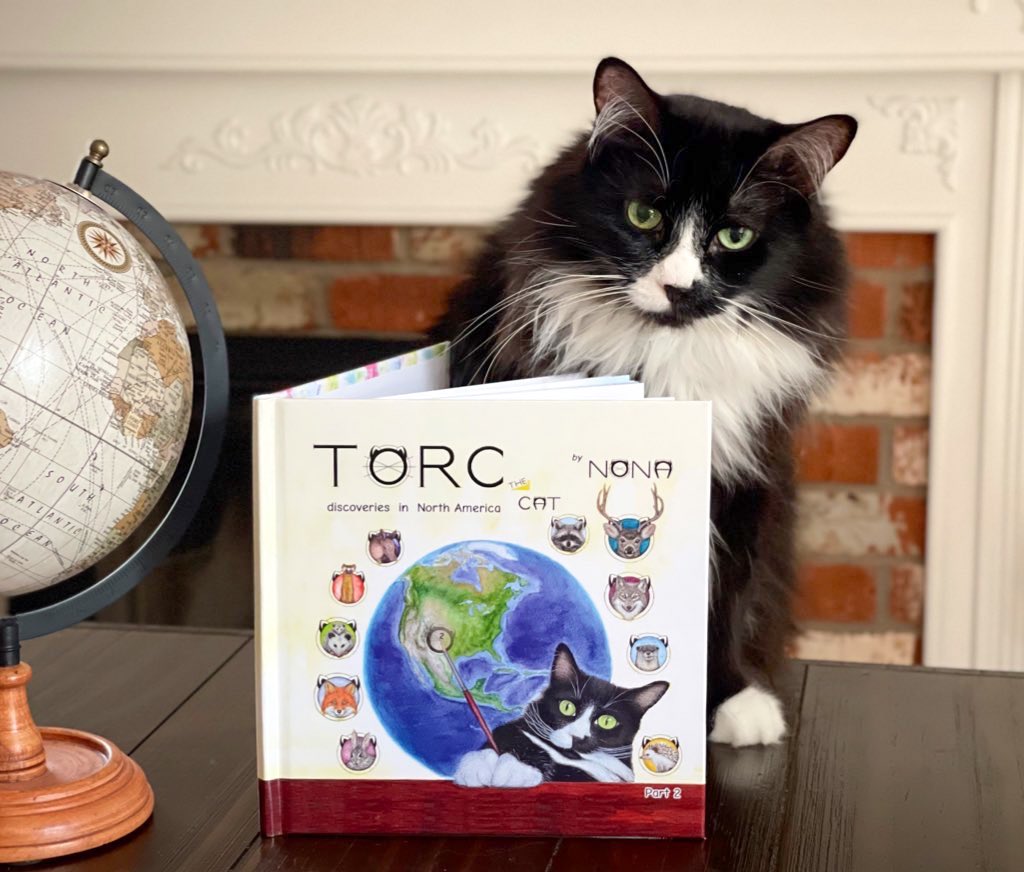 TORC the CAT tweet media