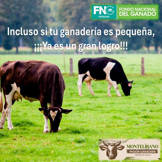 Con dedicación y pasión, una pequeña ganadería se convierte en una gran empresa.
#ConstruyendoGanadería 
<a href="/Fedegan/">FEDEGAN</a> 
<a href="/jflafaurie/">José Félix Lafaurie</a> 
<a href="/Plsincelejogan1/">Sincelejo pasión ganadera</a>