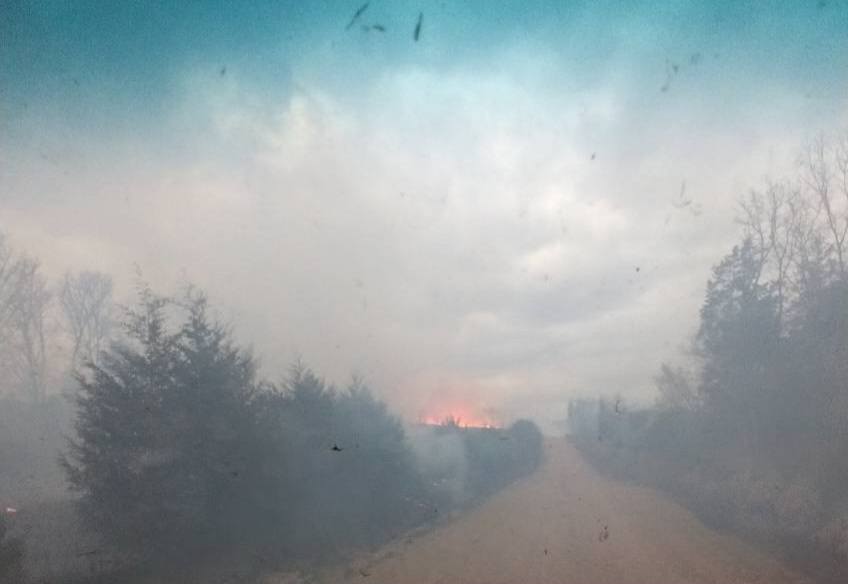 MO Conservation tweet media