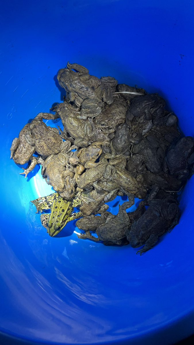 Helemaal van het padje