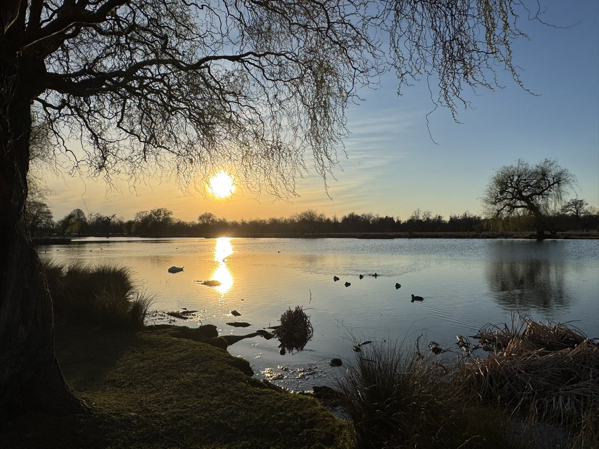 Charlotte Trendell tweet media