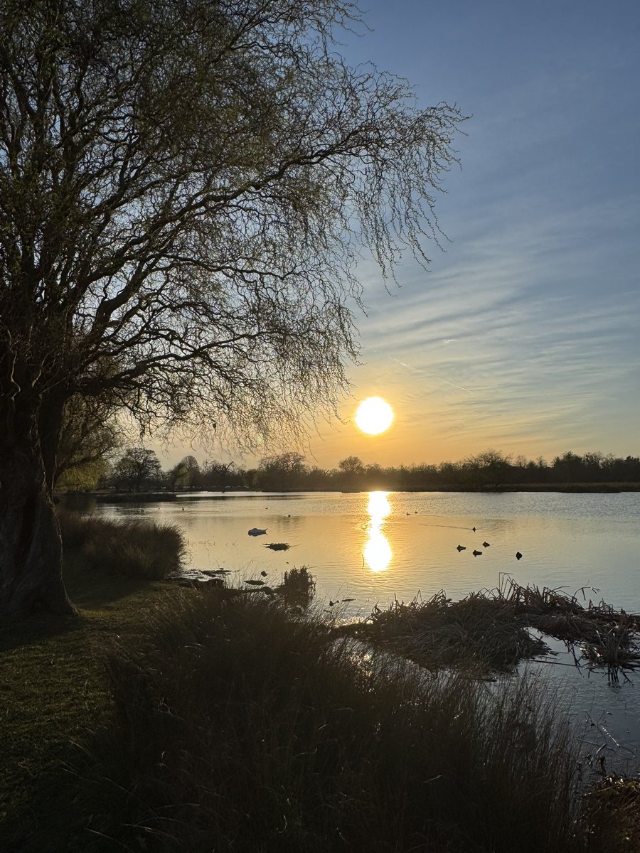 Charlotte Trendell tweet media