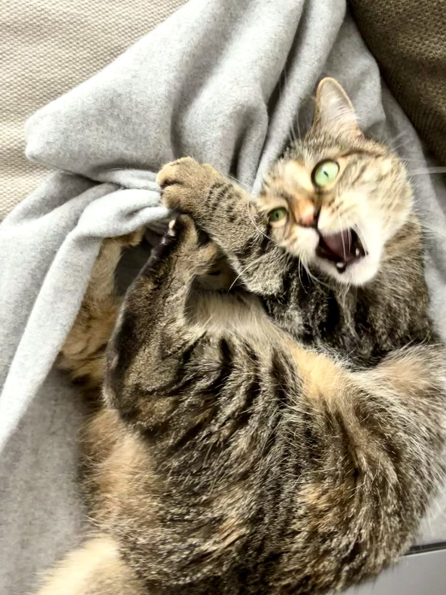 Ricky Gervais tweet media