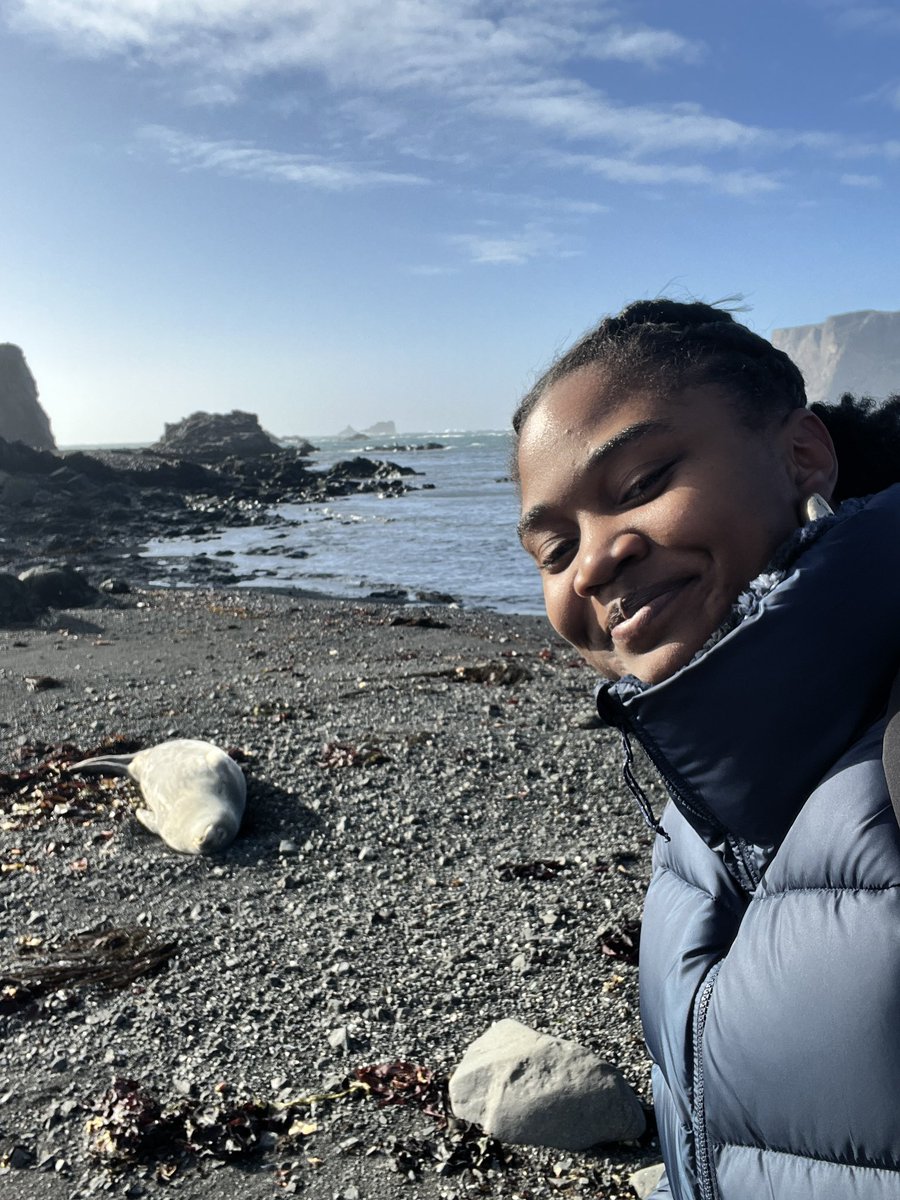 Found a seal 🦭 chilling after a swim ❄️
📍King George Island, Antarctica 🇦🇶 

#AlmaChasingContinents #7in60