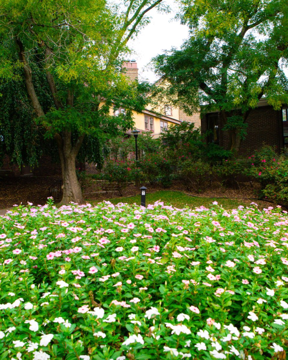 Happy first day of Spring! ⏰ Less than 2 weeks away from our Spring Open House -- be sure to RSVP to save your spot. 💐 
Click here to learn more: inn.rutgers.edu/spring-open-ho… 

#events #rutgersevents #RutgersInn #springopenhouse #newbrunswicknj