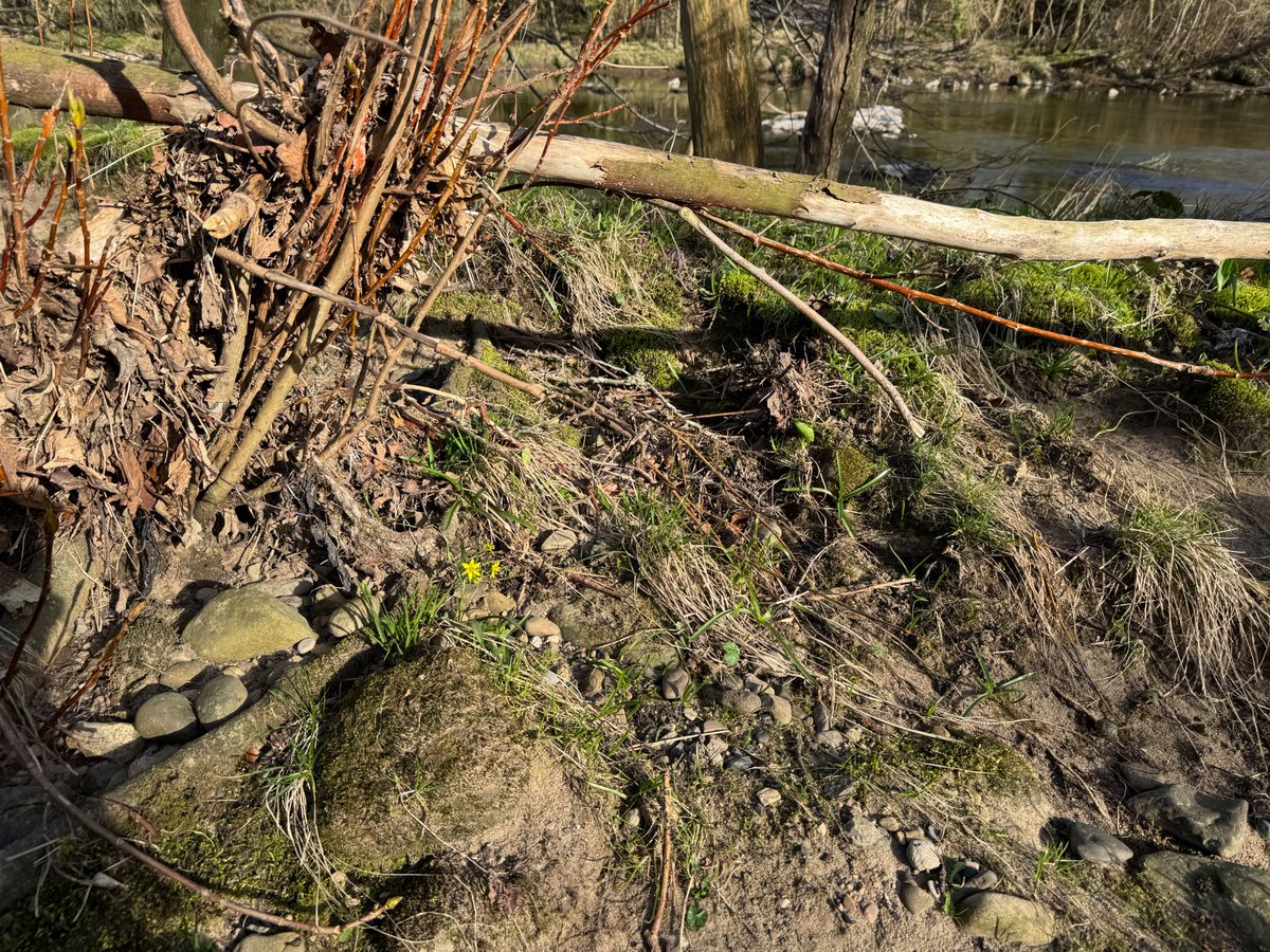 Swale Outdoors tweet media