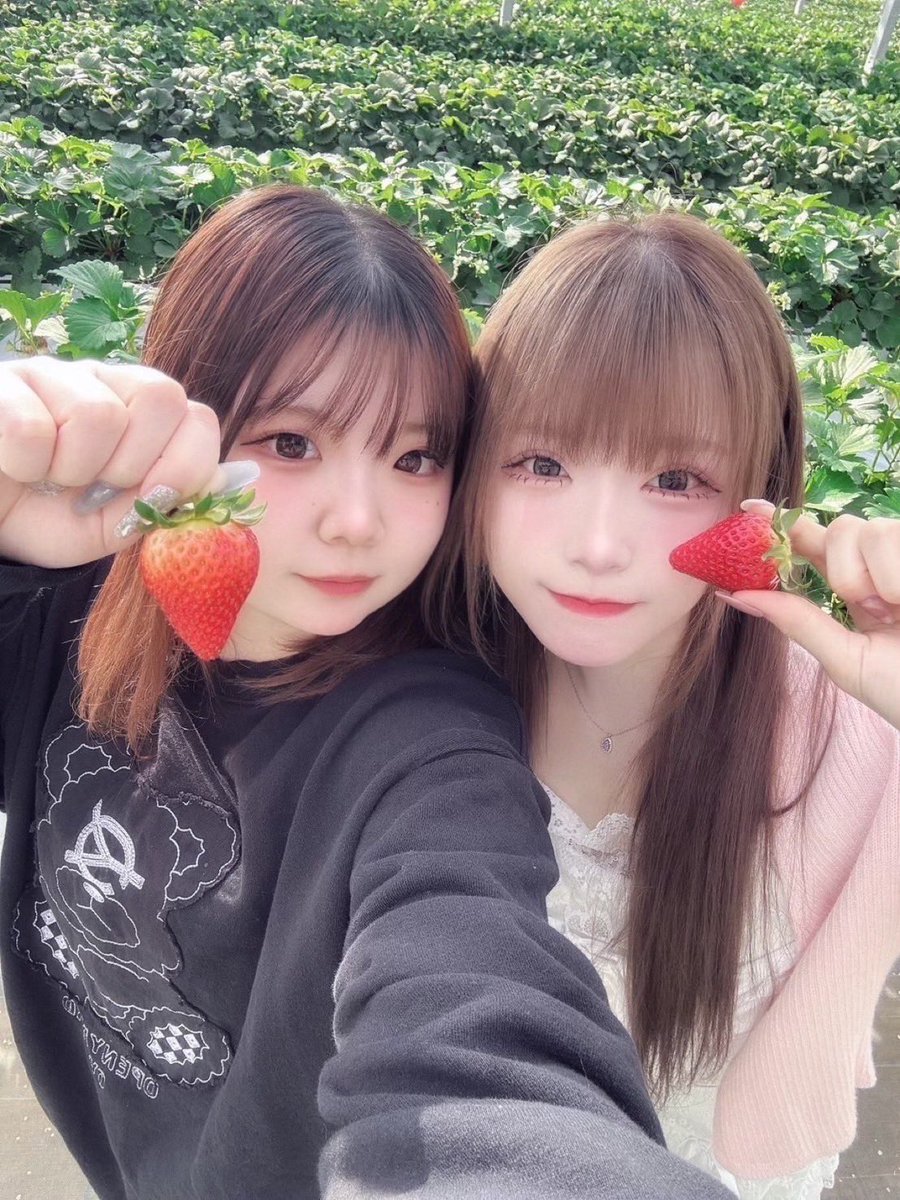 のりこ　二枚 のりこ2号 (@noriko_x_x) / Posts / X
