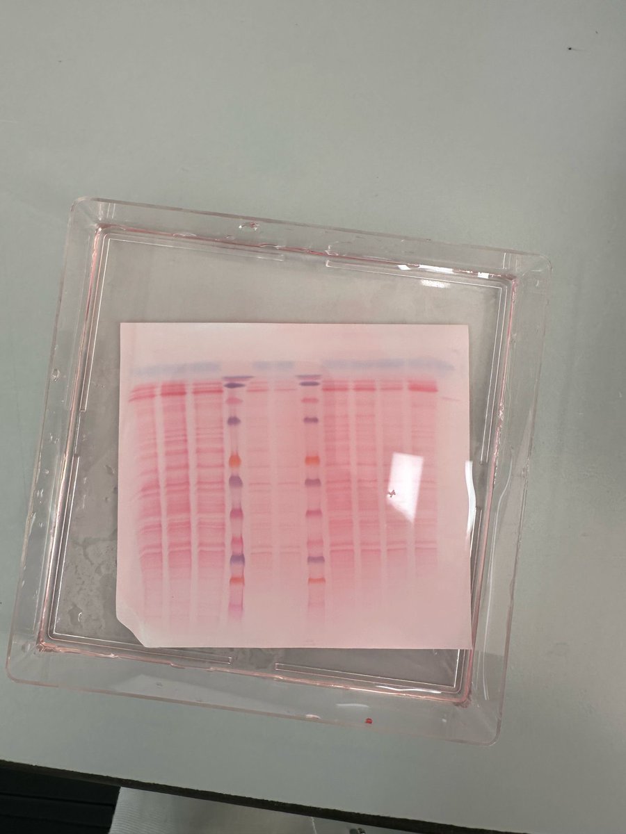 Alex Tonks tweet media