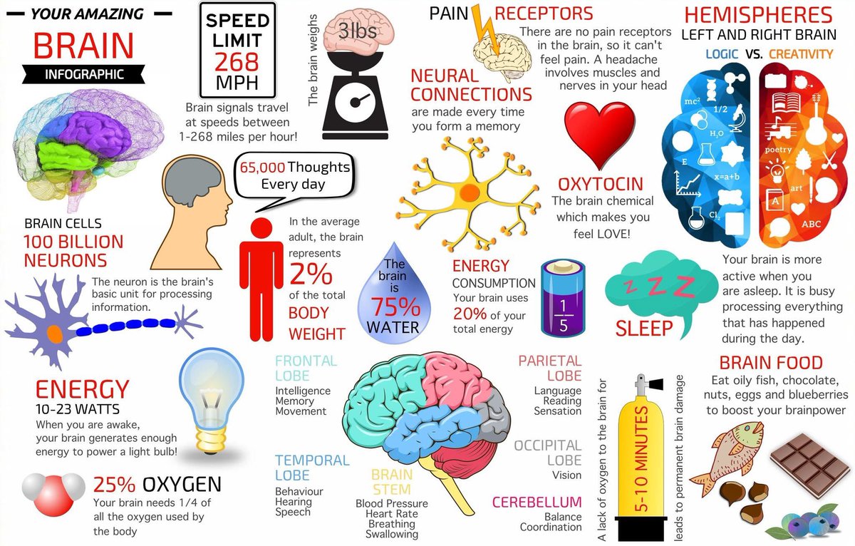 ForensicLets's tweet photo. Brain injury awareness month it is such a great organ 🧠 https://t.co/ObnM0amnRM
