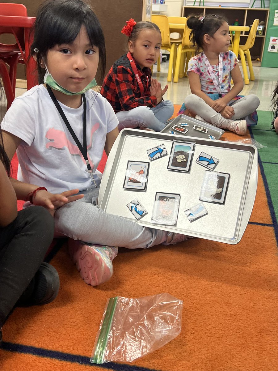 Ms_MtzTobias's tweet image. Starting off our insect theme with ants this week  🐜 #antcycle #addition @StovallPK_AISD @AldineHeadStart @PerezEduPage