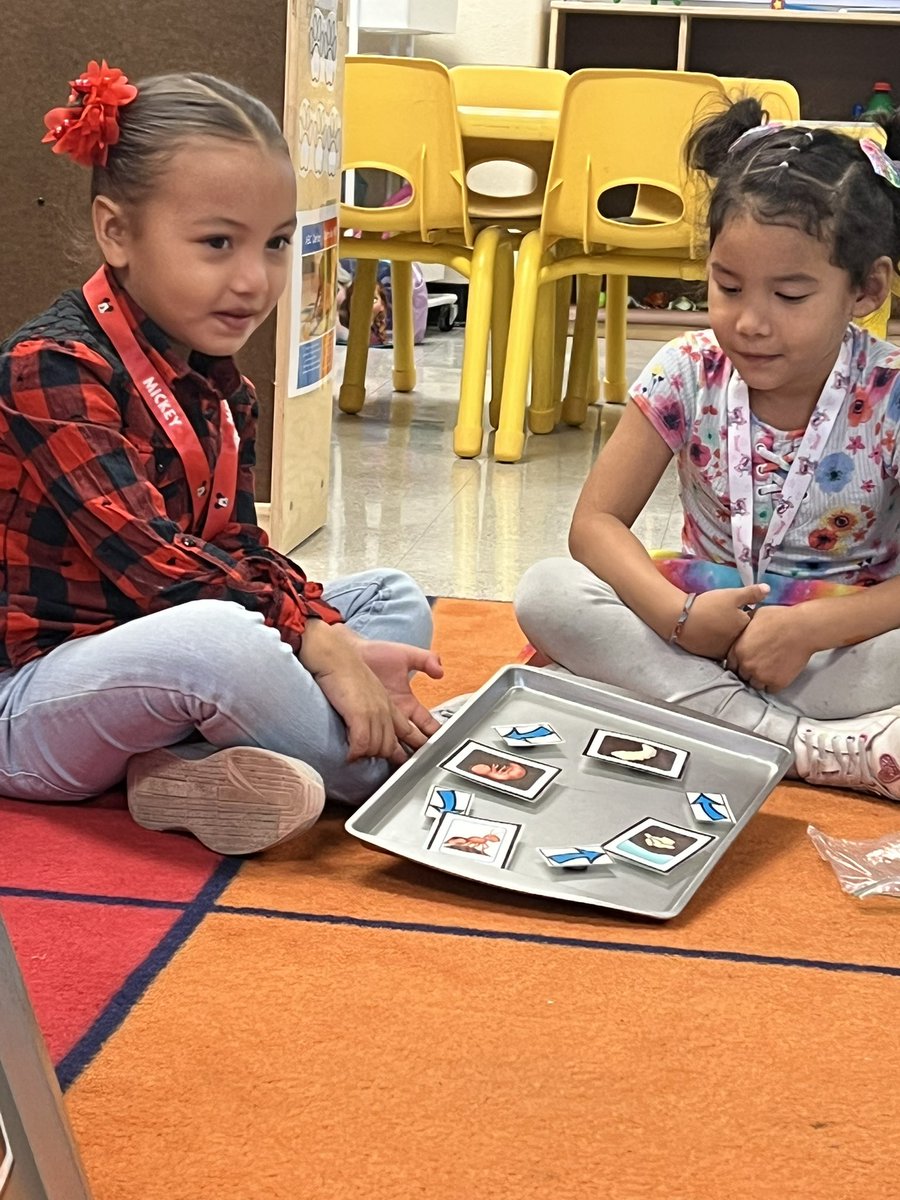 Ms_MtzTobias's tweet image. Starting off our insect theme with ants this week  🐜 #antcycle #addition @StovallPK_AISD @AldineHeadStart @PerezEduPage