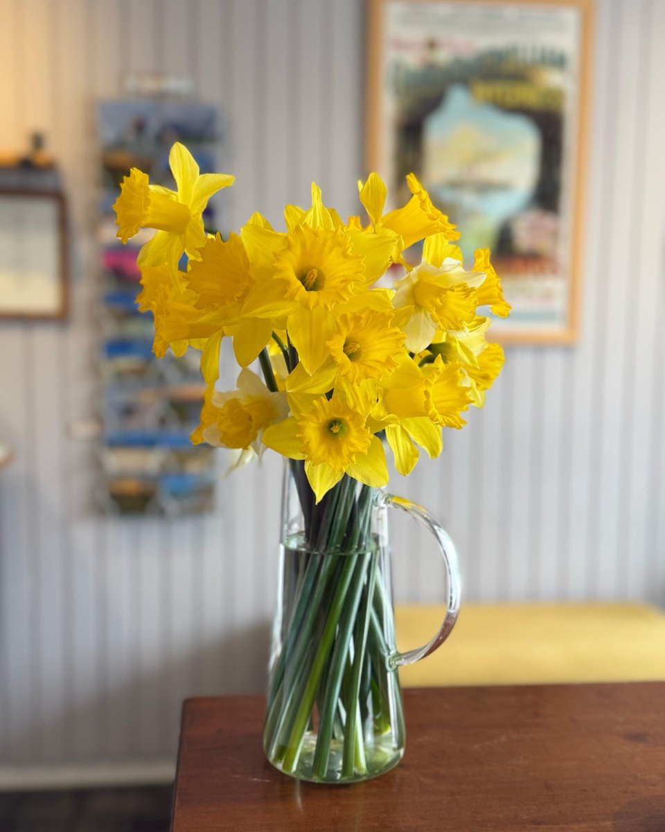Our first week of the season is done, and it’s been wonderful welcoming guests back to Iona! 🌼 The daffodils in reception are a sure sign that spring is here.

We can’t wait to welcome more of you to the island this year - see you soon 💛

#SpringOnIona #StColumbaHotel