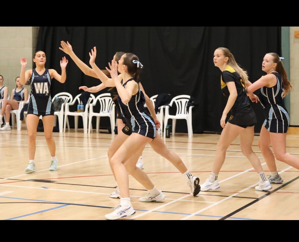 Caterham NetCats tweet media