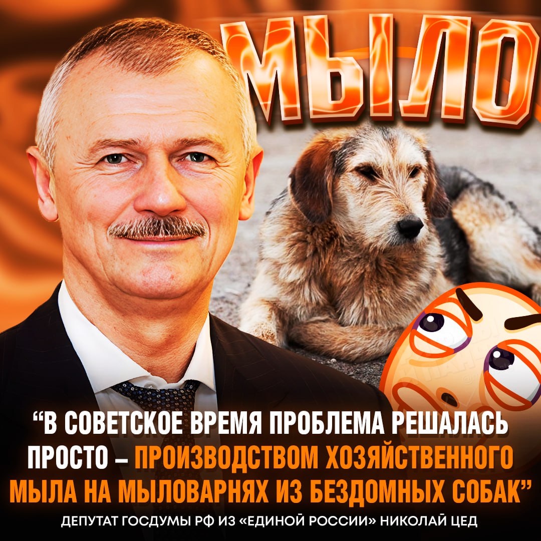 😳 ВАРИТЬ МЫЛО ИЗ БЕЗДОМНЫХ СОБАК — предложение депутата Госдумы РФ Николая Цеда

Политик отметил, что «каждая бродячая собака — это зубастое оружие, способное "выстрелить" в любой момент»

😢 — это очень жестоко!
👍 — правильное решение, бродяги очень опасны!!!