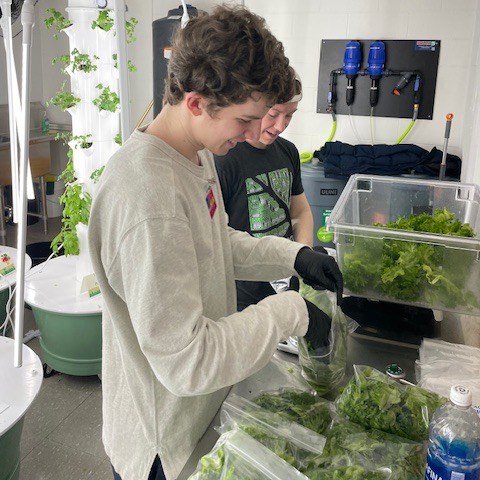 Growing Peace tweet media