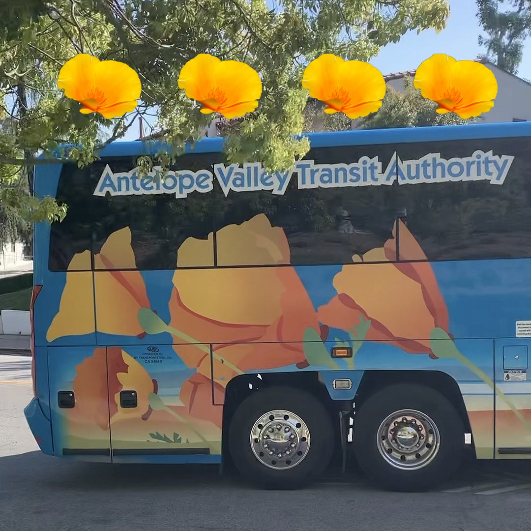 Spring is popping 🌼

Happy first day of the season, Bruins and <a href="/UCLA/">UCLA</a> visitors!