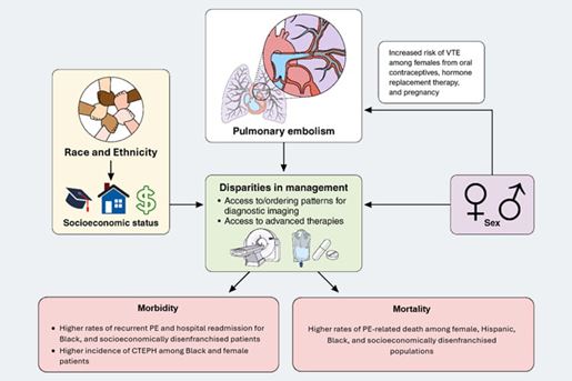 Sue Gu (@suegumd) on Twitter photo Our new paper featured in AHA Circulation, a timely publication as funding for science studying and addressing health disparities are being cut. I’m so proud to have been a part of this important work highlighting disparities in PE care. <a href="/CU_PSCCM/">CU Pulmonary & Critical Care Medicine</a>
ahajournals.org/doi/10.1161/CI… Our new paper featured in AHA Circulation, a timely publication as funding for science studying and addressing health disparities are being cut. I’m so proud to have been a part of this important work highlighting disparities in PE care. <a href="/CU_PSCCM/">CU Pulmonary & Critical Care Medicine</a>
ahajournals.org/doi/10.1161/CI…