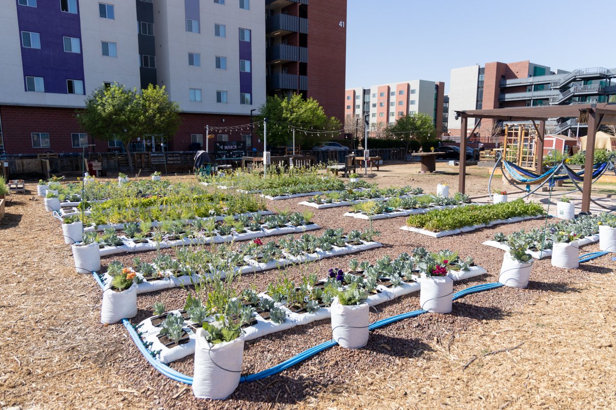 gcu's tweet photo. Happy first day of spring from the heart of the GCU Outdoor Recreation community garden! 🌻 https://t.co/of9vzgOWvT