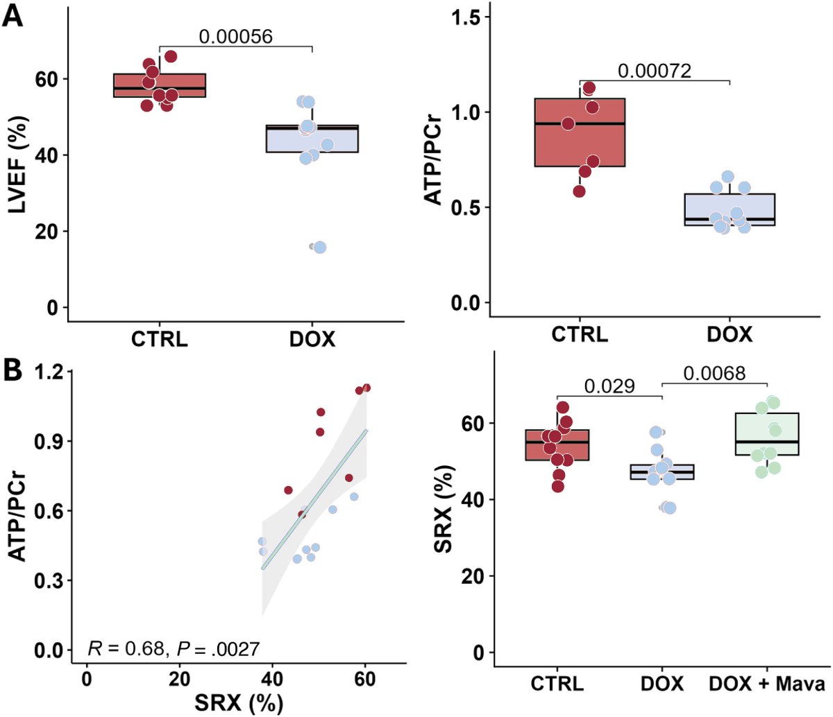REC Publications (@revespcardiol) on Twitter photo Anthracycline cardiotoxicity is associated with aberrant cardiac myosin energetics. #AheadOfPrint #REC <a href="/cgalanarriola/">Carlos Galán Arriola</a> <a href="/Borjaibanez1/">Borja Ibanez</a> <a href="/CNIC_CARDIO/">CNIC</a>
🔗 revespcardiol.org/en-anthracycli… Anthracycline cardiotoxicity is associated with aberrant cardiac myosin energetics. #AheadOfPrint #REC <a href="/cgalanarriola/">Carlos Galán Arriola</a> <a href="/Borjaibanez1/">Borja Ibanez</a> <a href="/CNIC_CARDIO/">CNIC</a>
🔗 revespcardiol.org/en-anthracycli…