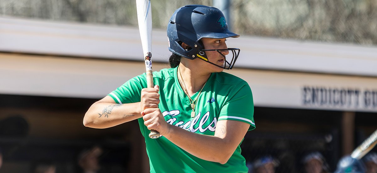 Endicott Athletics tweet media