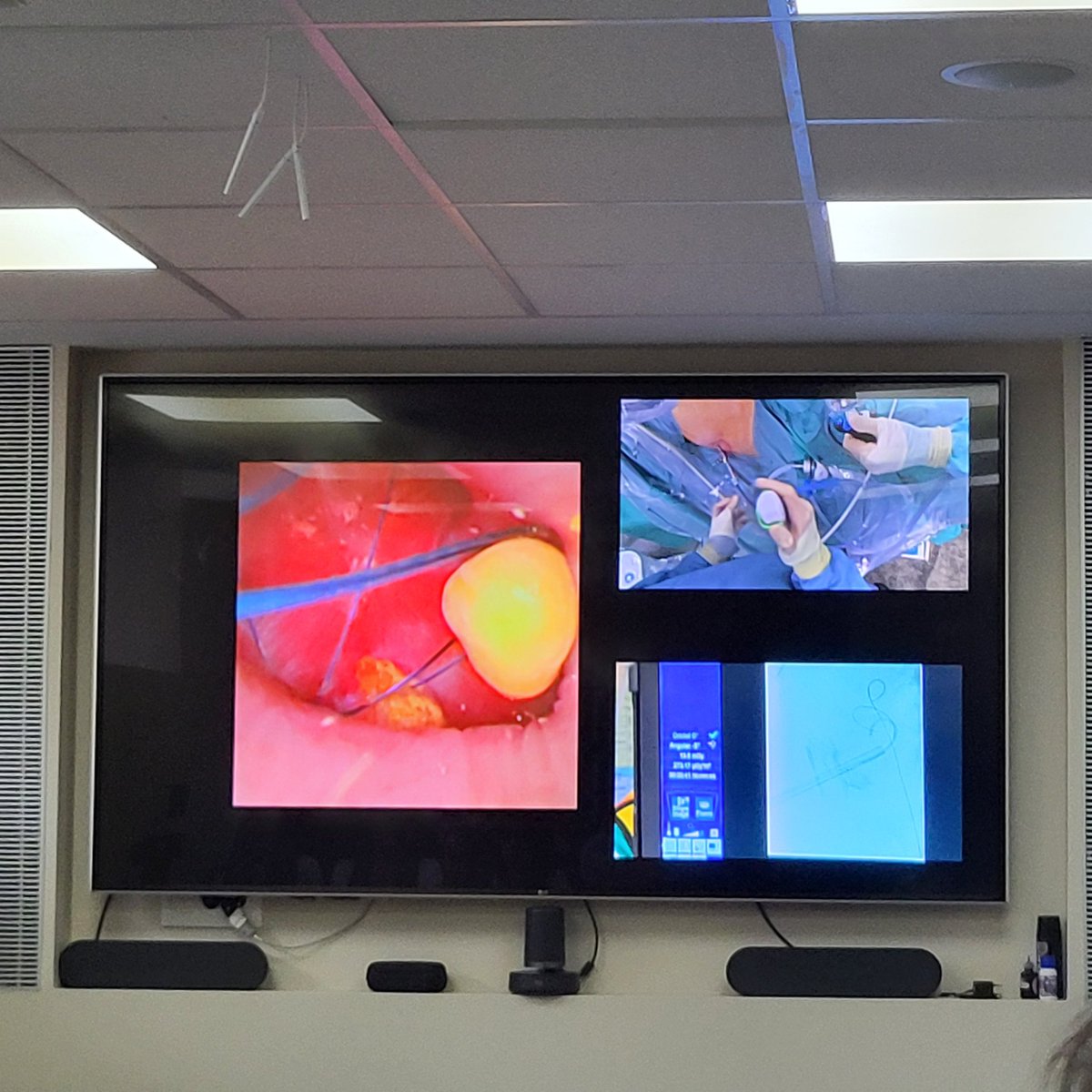 Roberto Castañeda tweet media