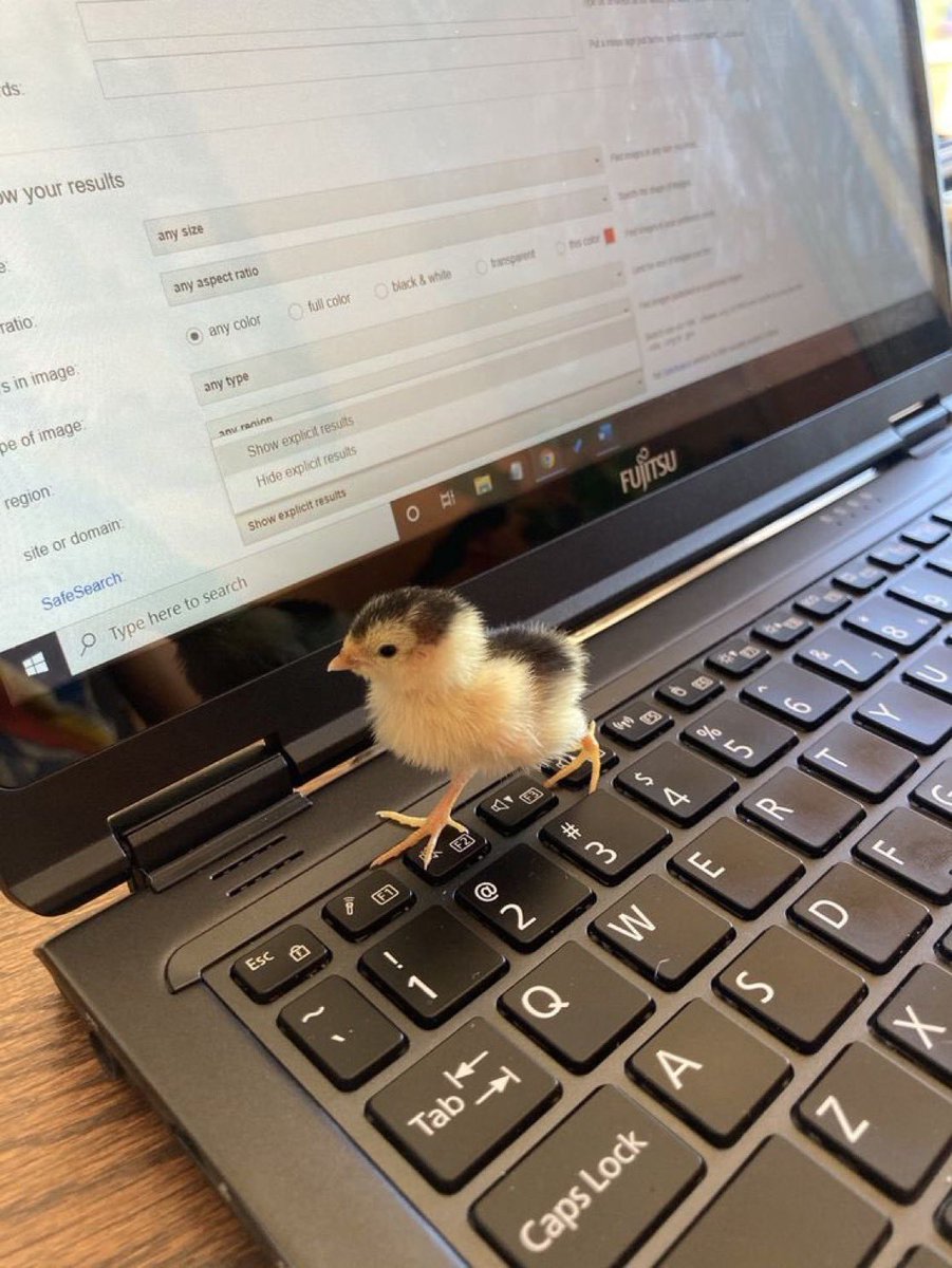 skelirexx's tweet photo. the chick will keep clicking.. even here at 13k 
#clickchick 
5PdCQquyotQZtVfVFNmW8iMYA8uFTJMrfT6iXxiipump https://t.co/VAmeQicnRF