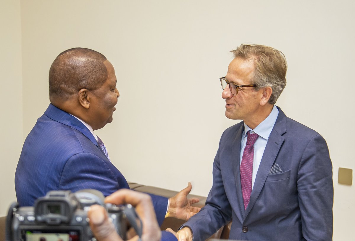 UNPeacebuilding's tweet photo. Today, in 🇨🇫, @UN ASG @ElizabethSpehar and the delegation, including representatives from Denmark, Estonia, Germany, Ireland, Japan, and Norway, met with President H.E. Mr. Faustin-Archange Touadéra. https://t.co/21HNOyeUi8